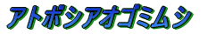 ノコギリクワガタ