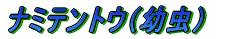 ノコギリクワガタ