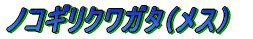 ノコギリクワガタ