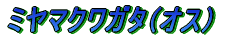 ノコギリクワガタ