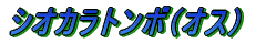 ノコギリクワガタ