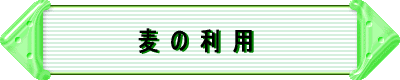 z^vWFNg̃X^[g