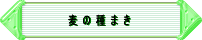 z^vWFNg̃X^[g