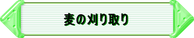 z^vWFNg̃X^[g