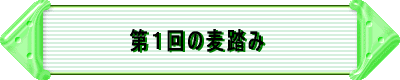 z^vWFNg̃X^[g
